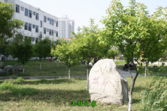 湖北医药学院