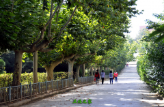 天水市卫生学校