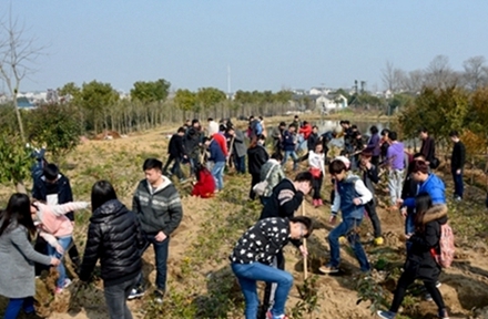 自贡幼师学校幼师舞蹈教育专业招生_招生信息