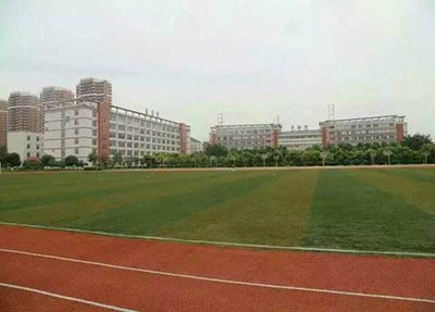 å­¦æ ¡æåº