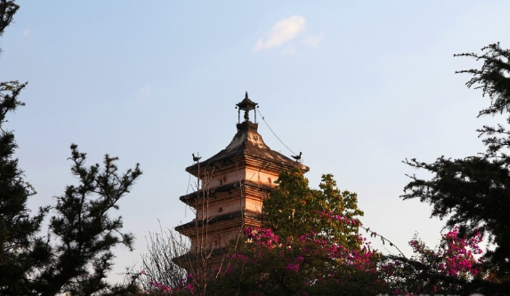 楚雄师范学院