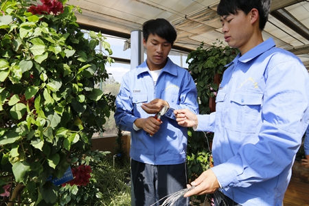 云南省林业高级技工学校园林技术2