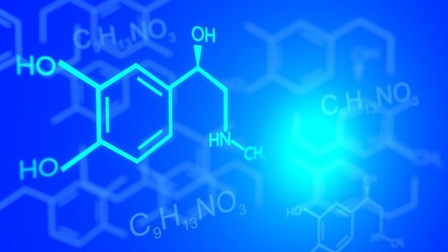 威宁自治县中等职业学校2024年录取分数线